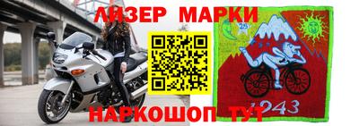 гидропоника Гатчина